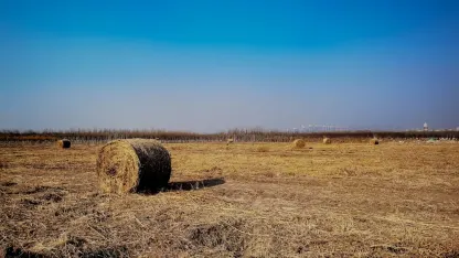 Казино Адреналин Мобилно приложение